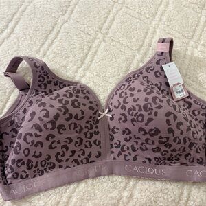 Cacique Mauve and Black Animal Print Bra